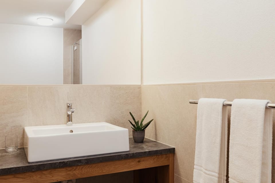 Apartments Roda de Ciar Apartment in Trentino-South Tyrol