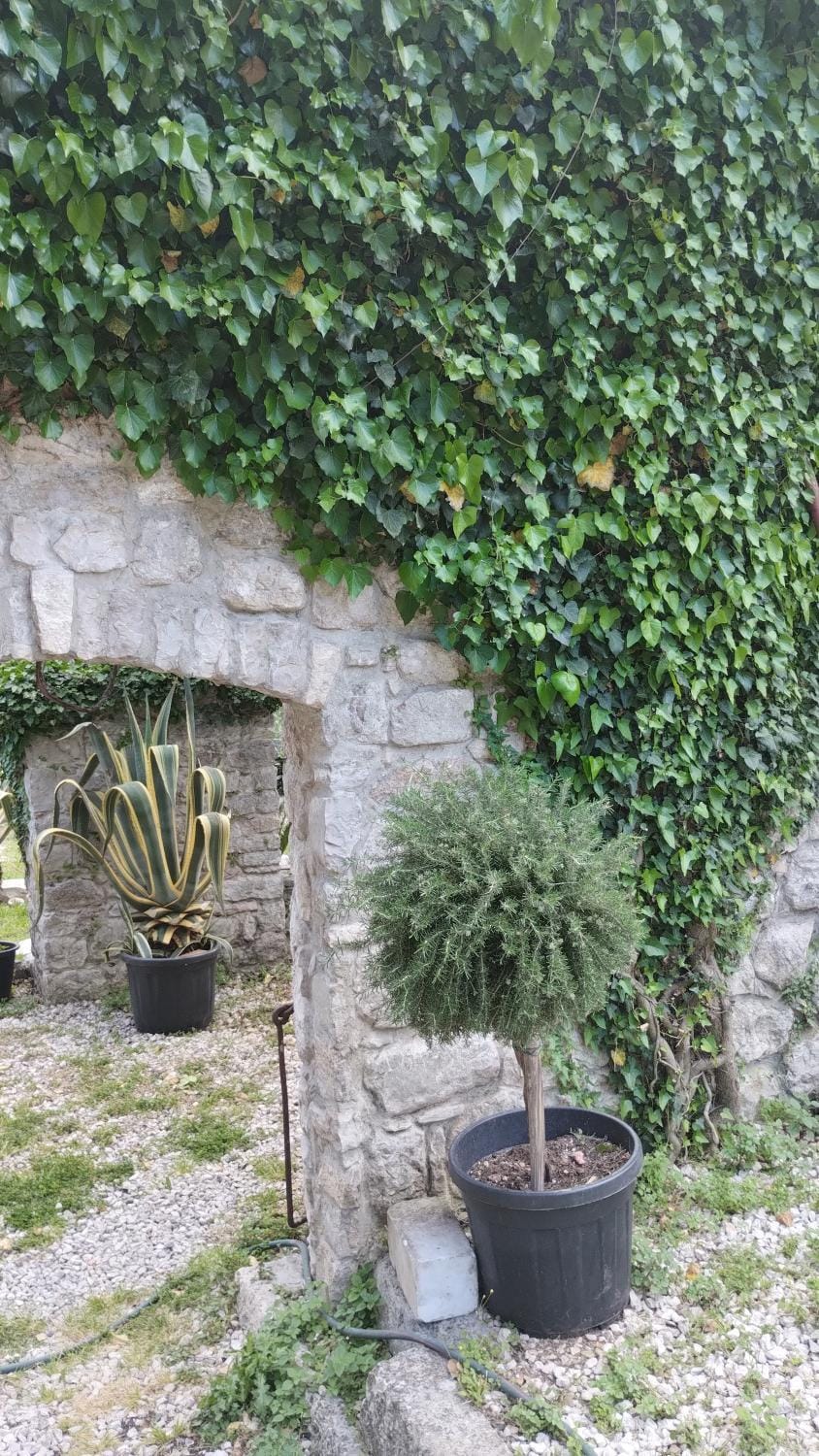 LaRos Apt Apartment in Kotor Municipality