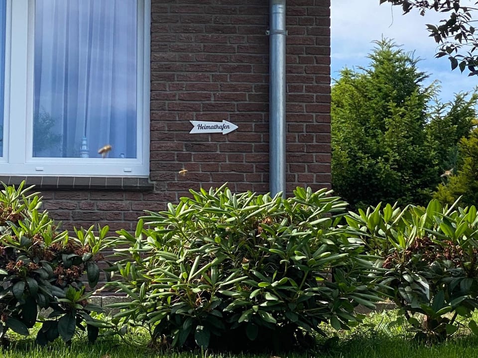 Heimathafen Apartment in Eckernförde