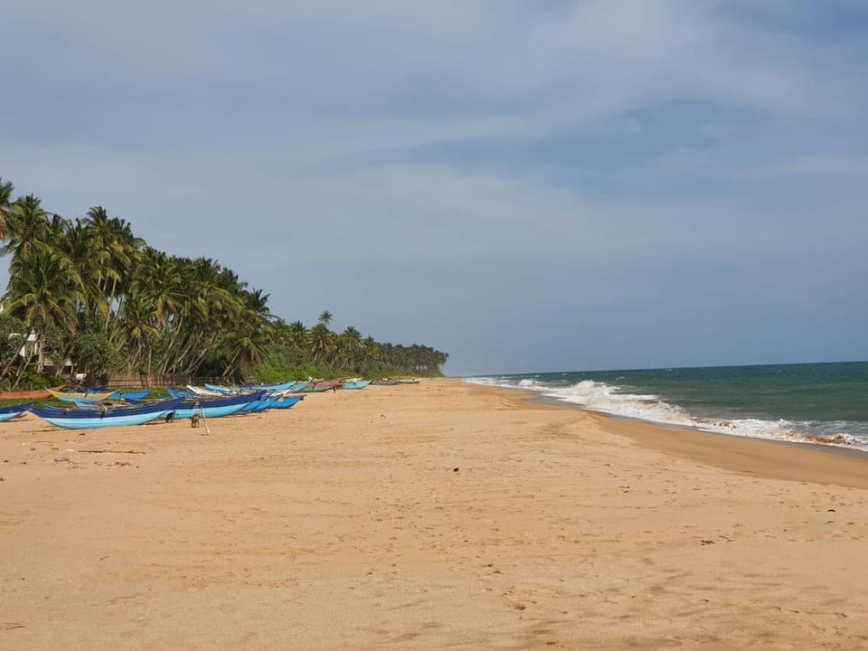 Natural landscape, Beach