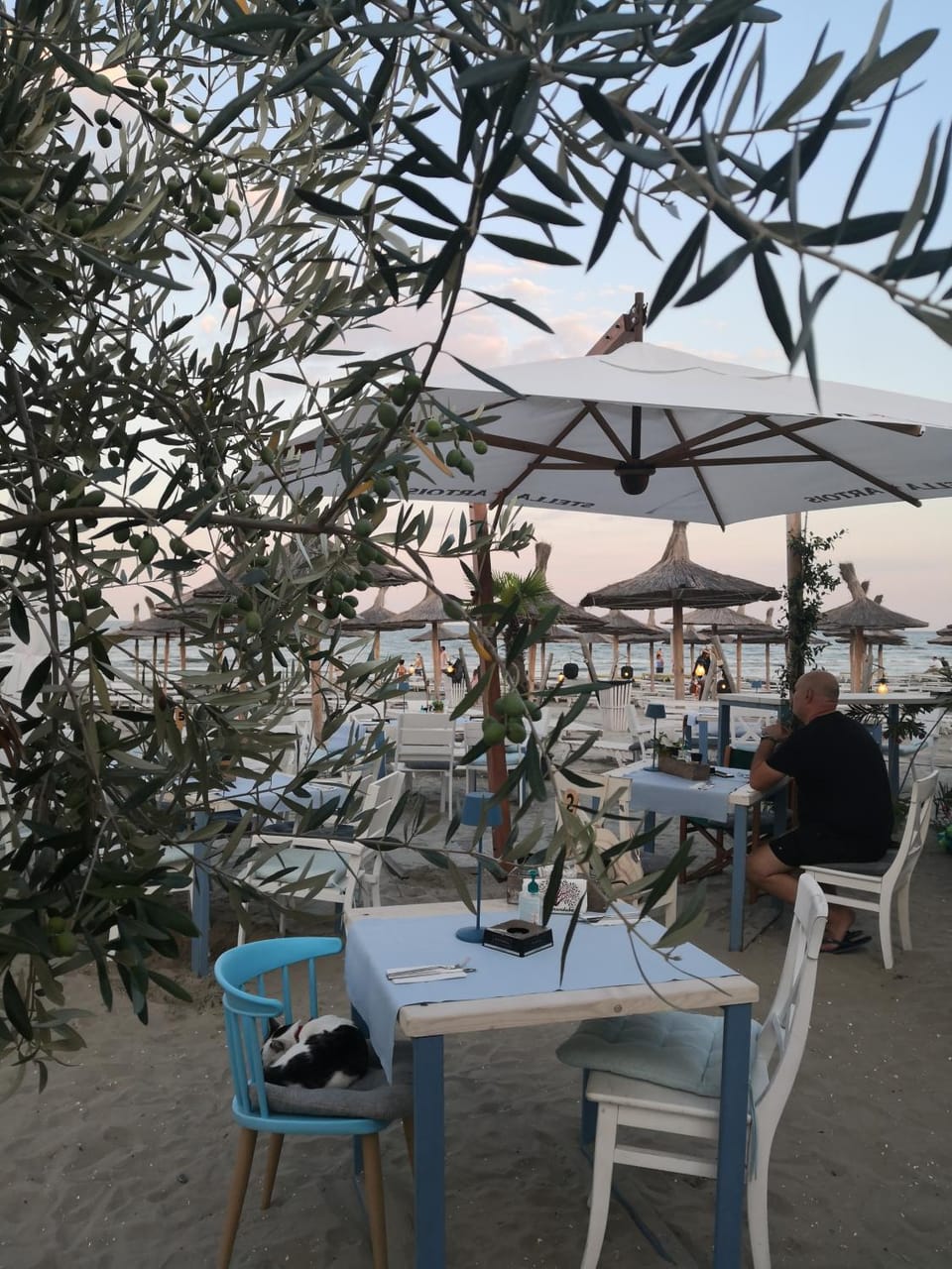 Restaurant/places to eat, Dining area, Sea view