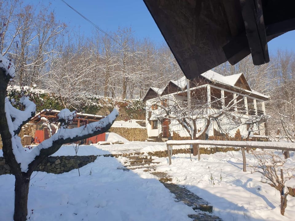Property building, Restaurant/places to eat, Day, Natural landscape, Winter