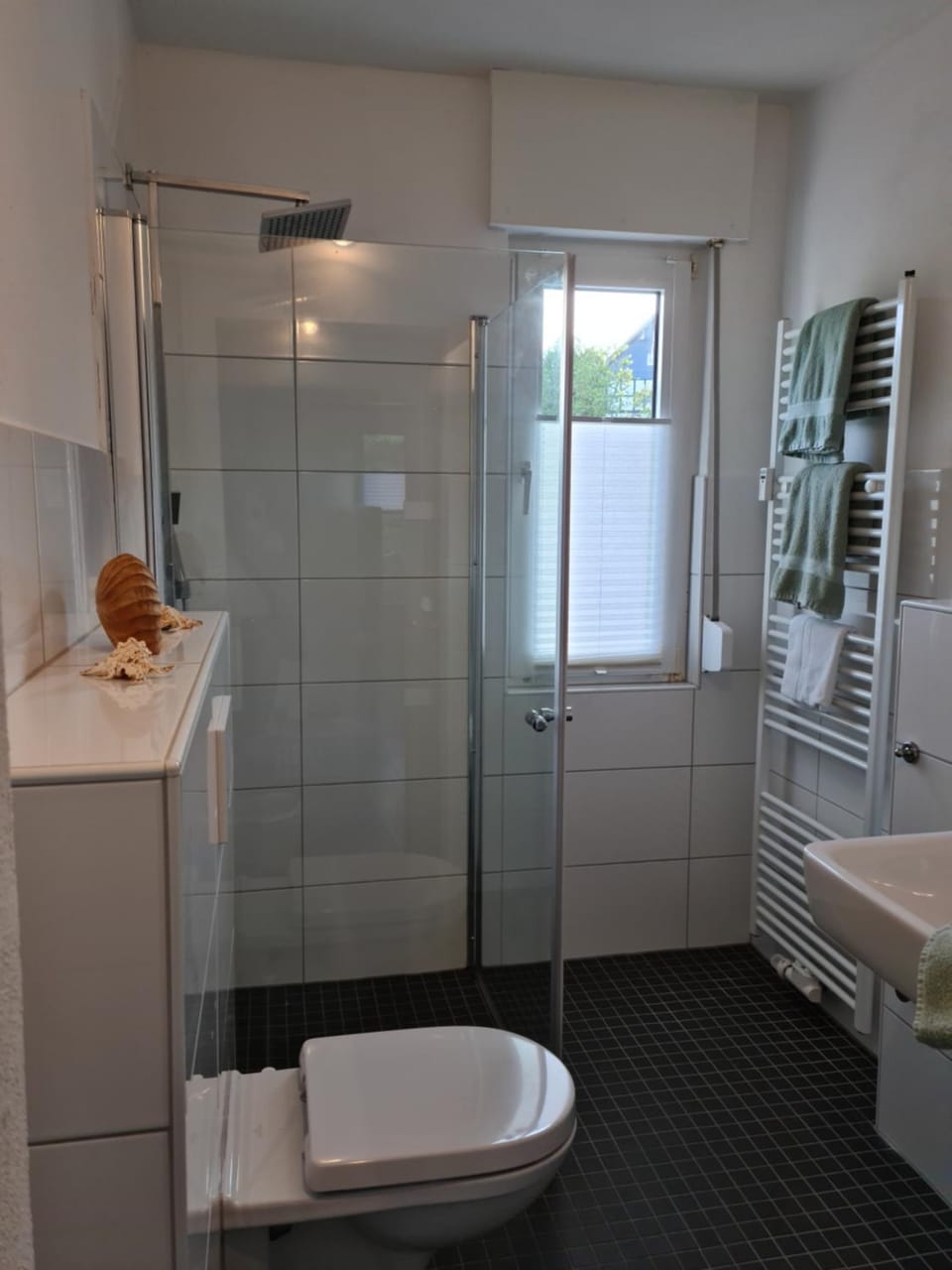 Pilgrims "Franz" großzügige Unterkunft Sauerland Apartment in Hochsauerlandkreis