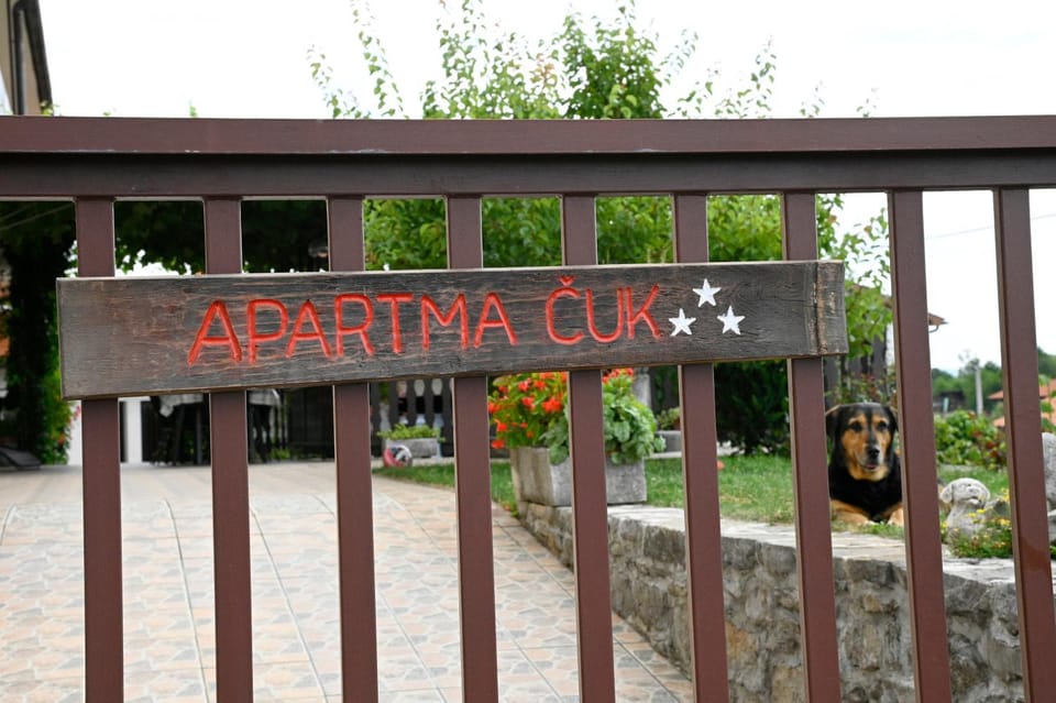 Apartma Čuk Apartment in Slovenia