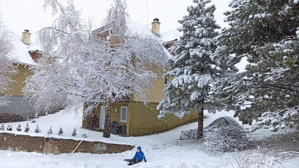 Property building, Natural landscape, Winter
