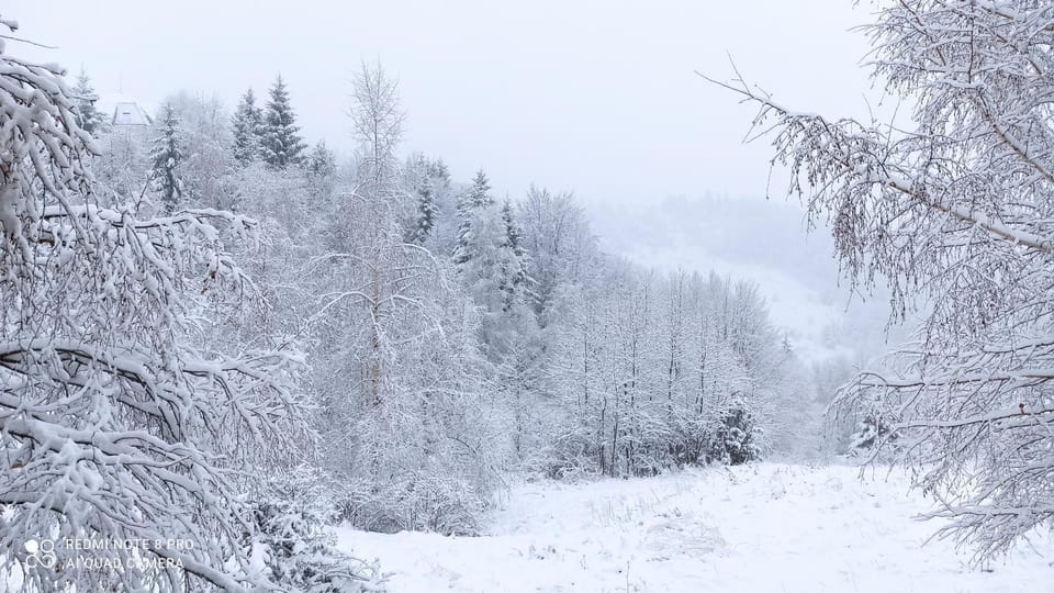 Natural landscape, Winter, Mountain view