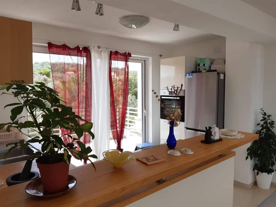 Apartmani Bruno Apartment in Zadar County