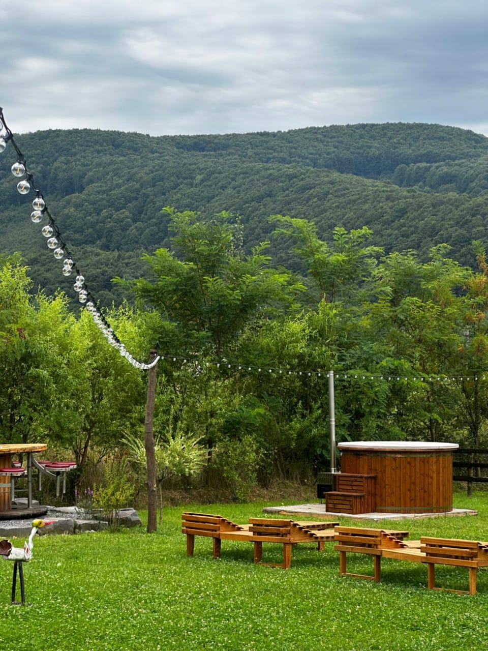Country Chalet House in Romania