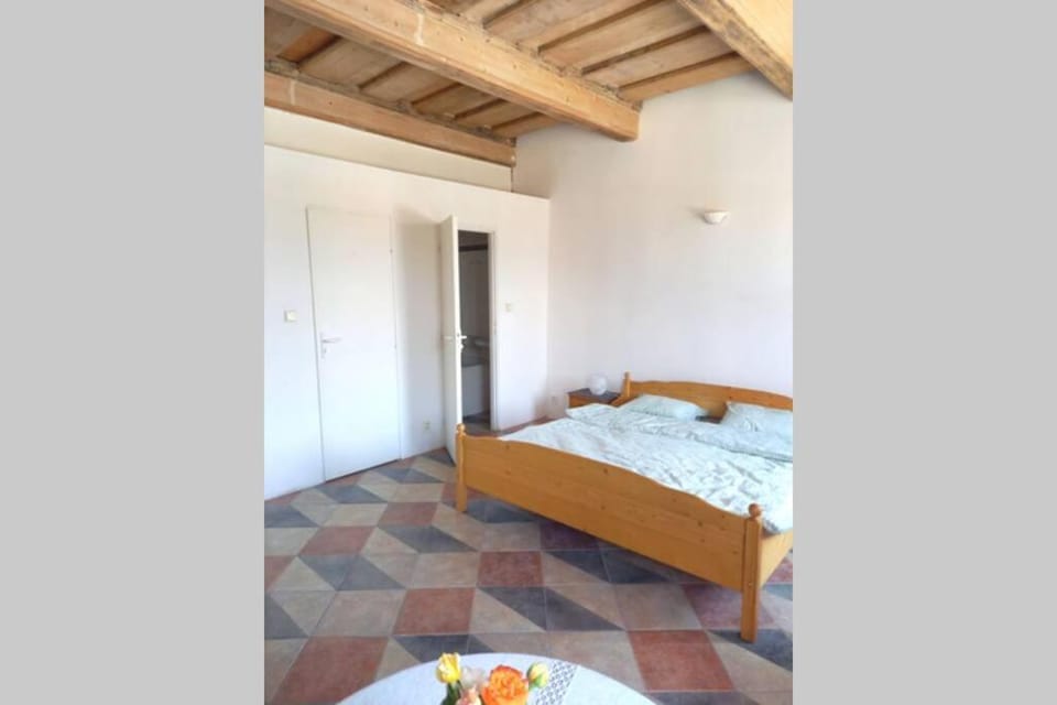 Renaissance Vintage Apartment A1 Apartment in Czechia
