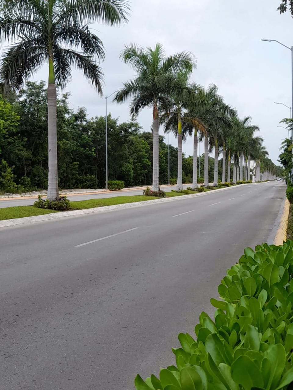 Neighbourhood, Street view