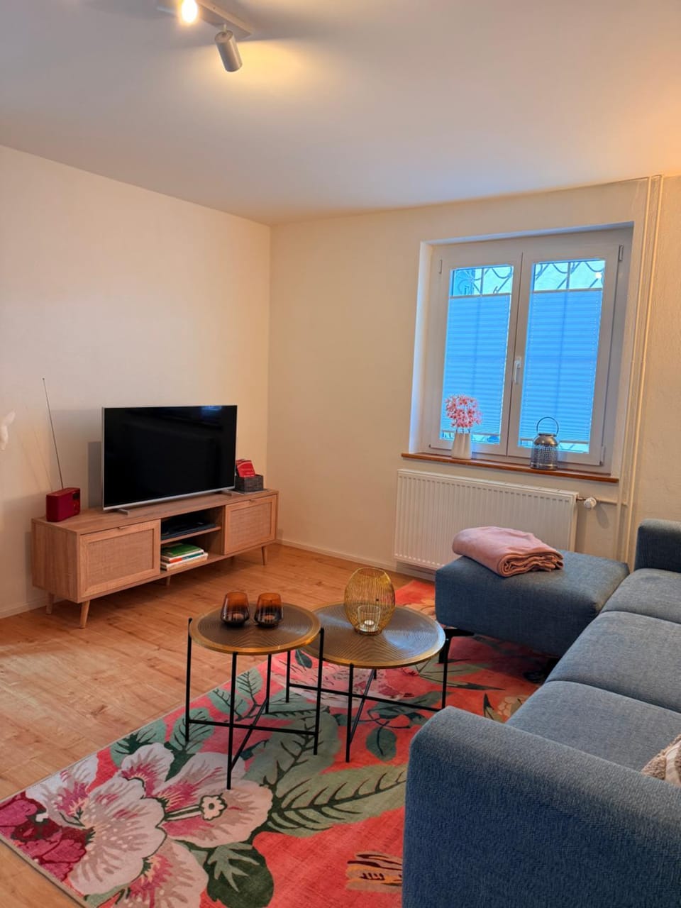 Ferienwohnungen Bohner/ Wohnung Katharina Apartment in Meersburg