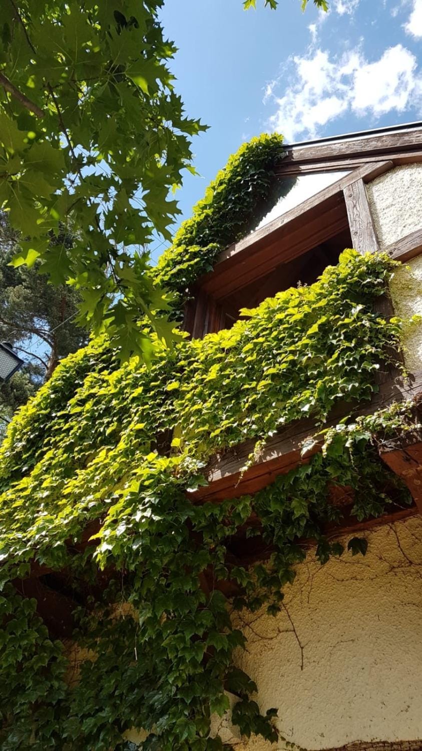 Suite de montaña independiente en Navacerrada Chalet in Community of Madrid