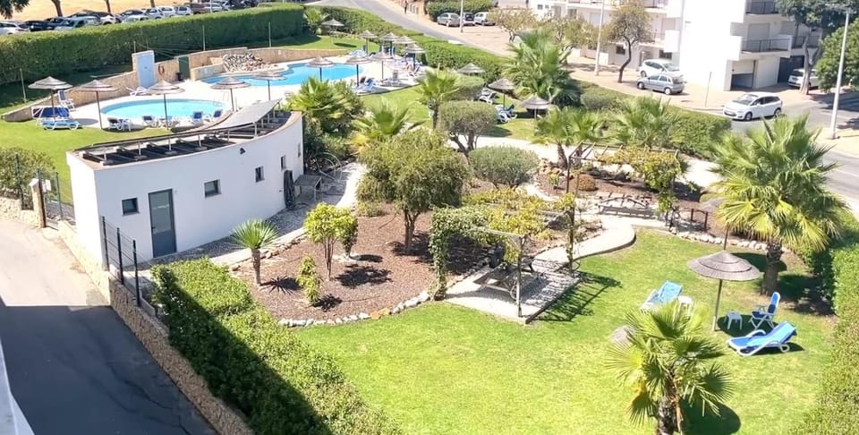 Garden, Garden view, Swimming pool