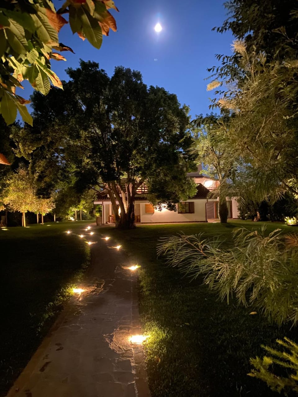Night, Garden