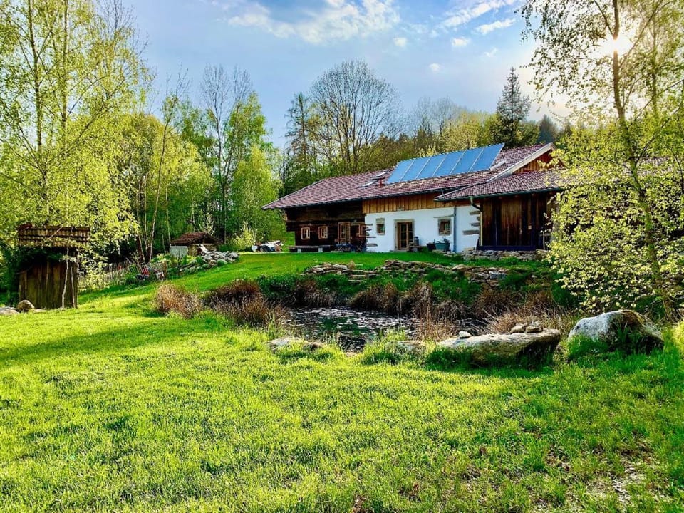 Property building, Garden