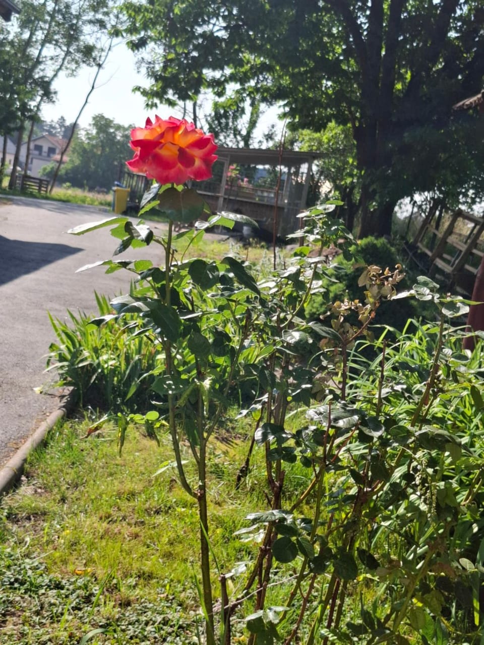 Carlitos House in Lika-Senj County