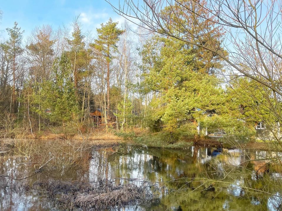 Lake view