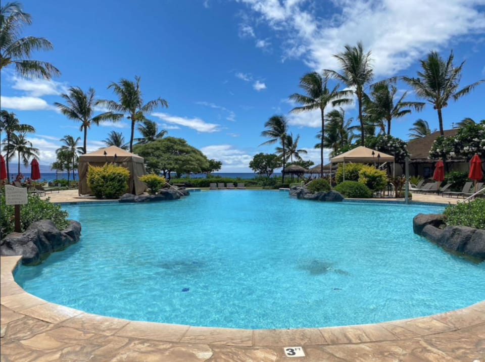 Pool view, Swimming pool