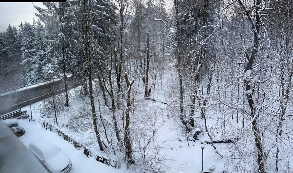 Natural landscape, Winter, Mountain view