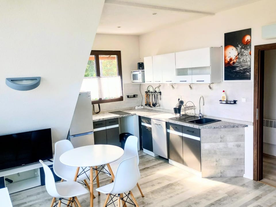 Kitchen or kitchenette, kitchen