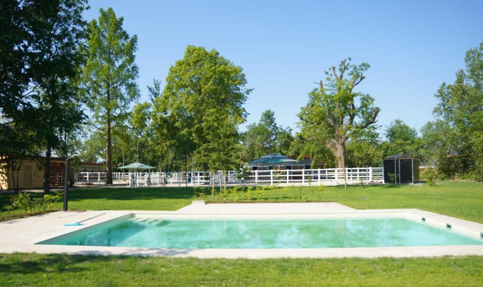 Natural landscape, Garden, Garden view, Pool view, Swimming pool