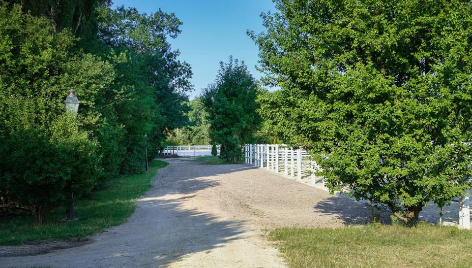 Natural landscape, Garden, Garden view