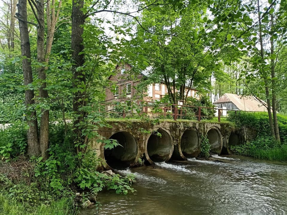 Garden view, River view