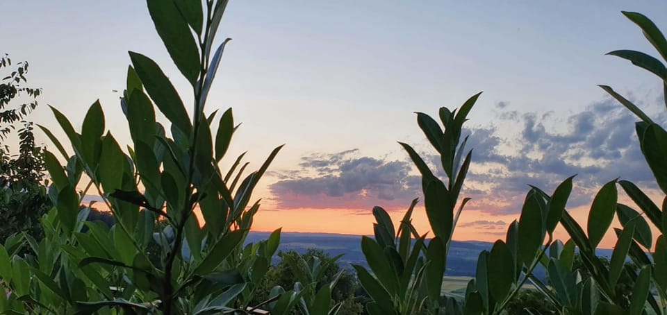 Ferienwohnung-Panoramablick-Küssaberg Apartment in Aargau, Switzerland