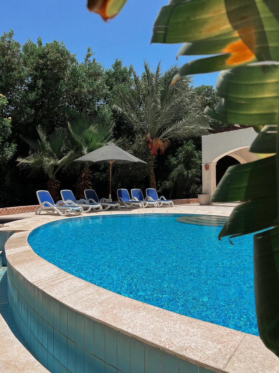 Day, Garden, Garden view, Pool view, Swimming pool, sunbed