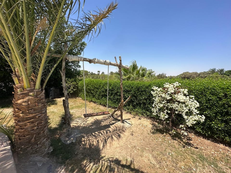 Spring, Day, Garden, Garden view