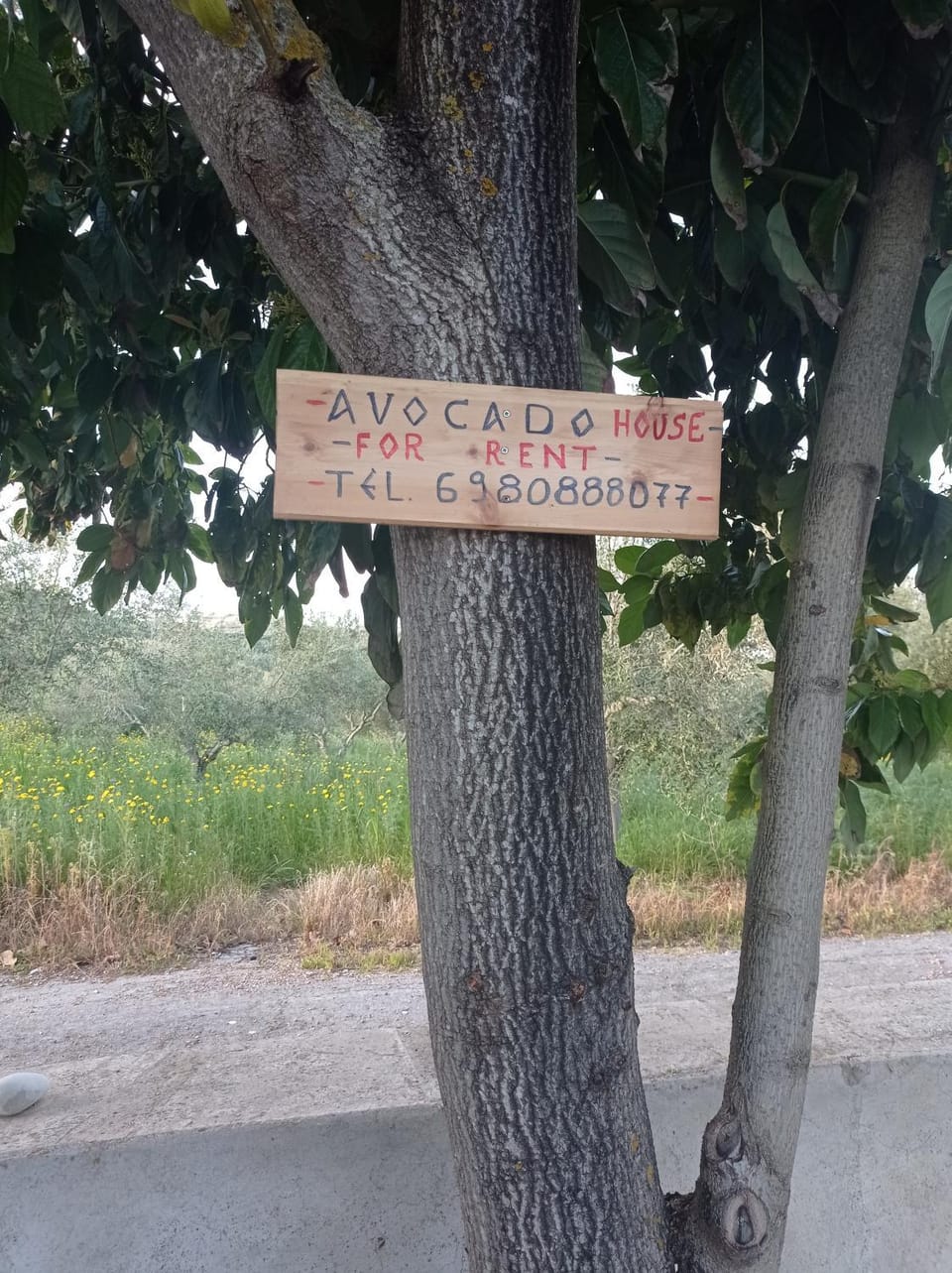 Avocado house House in Messenia