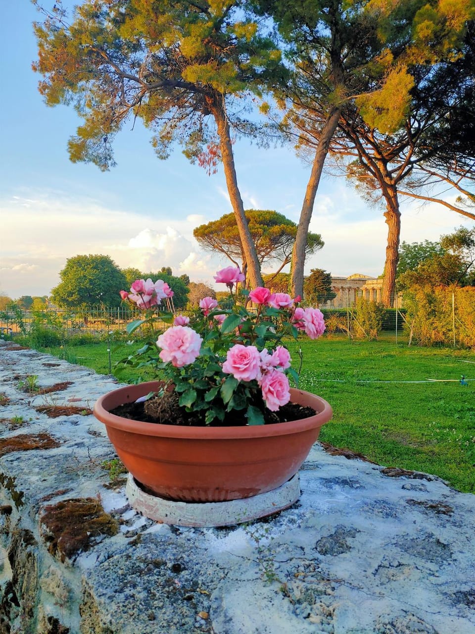 Il Giardino di Athena 1 Apartment in Campania