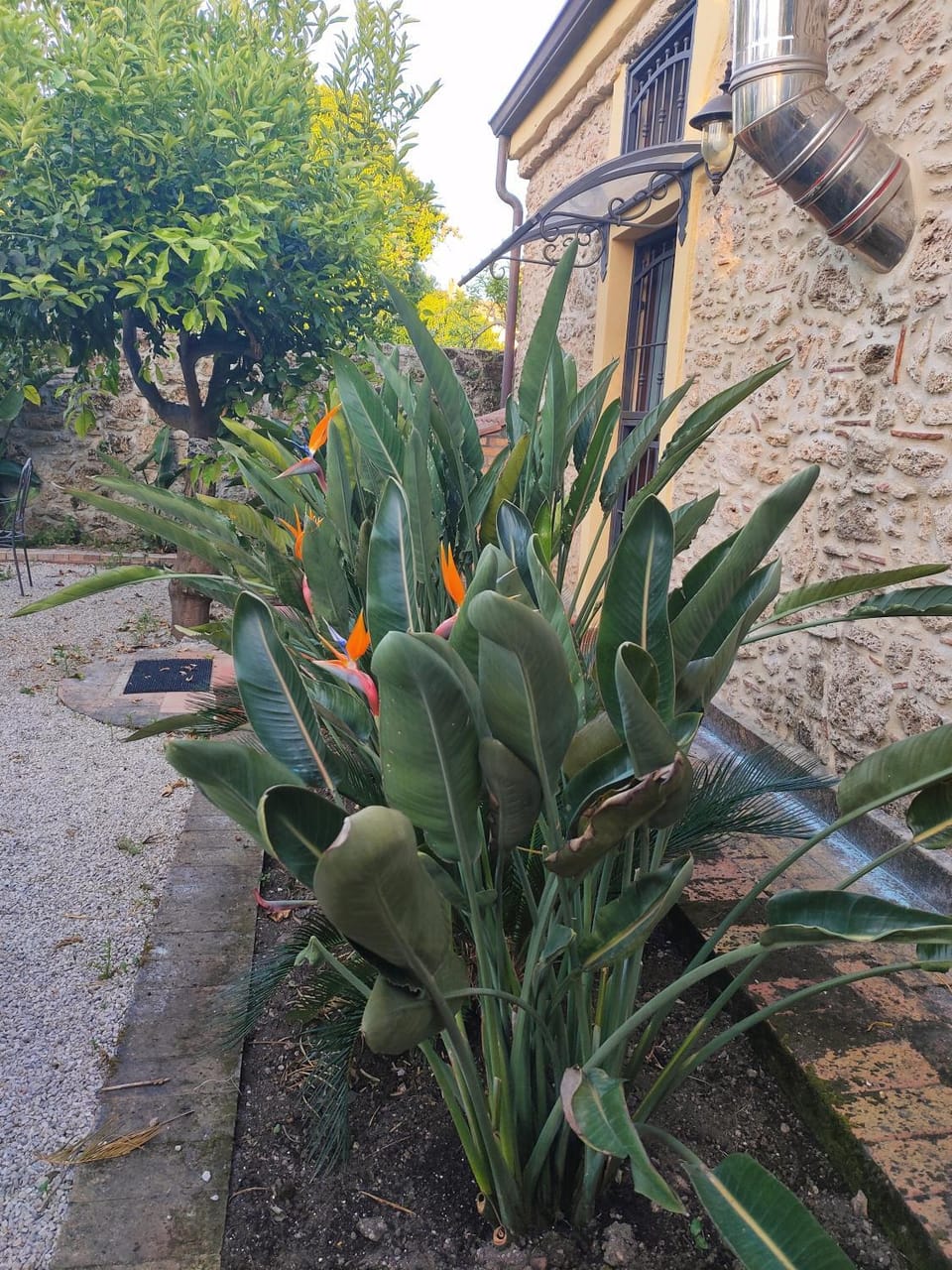 Il Giardino di Athena 1 Apartment in Campania