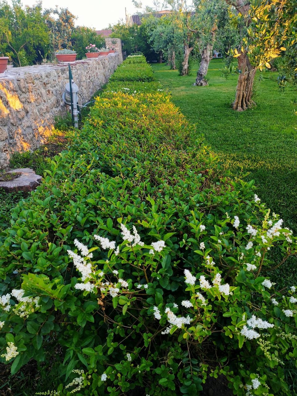 Il Giardino di Athena 1 Apartment in Campania