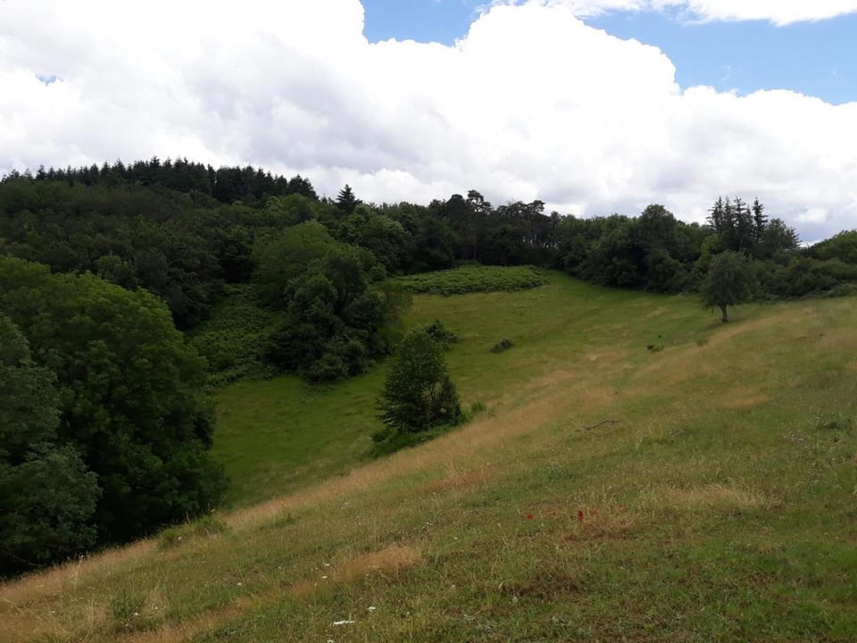 Gîte charmant avec jardin au calme, animaux admis Country House in Auvergne-Rhône-Alpes