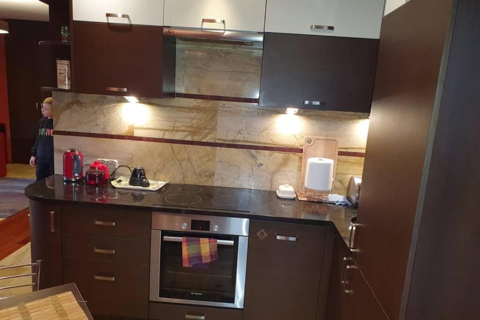 Przytulny apartament nr 115 Krynica Zdrój Apartment in Lesser Poland Voivodeship