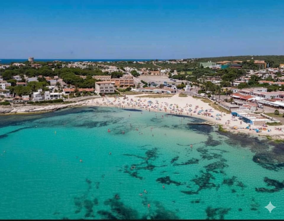 Bird's eye view, Beach