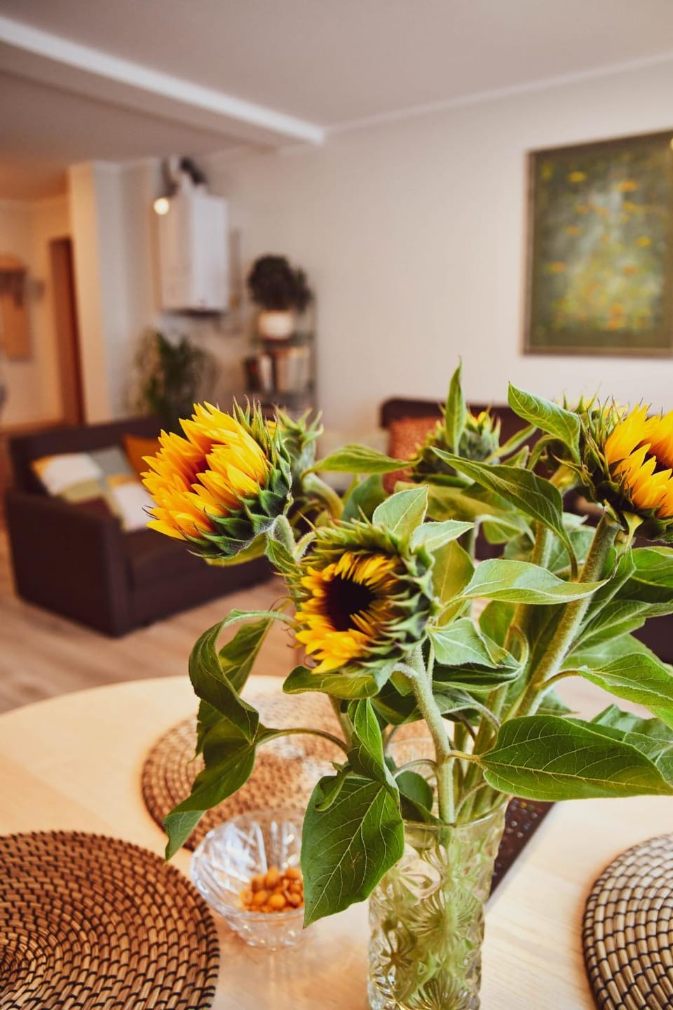 Central Park Apartment Birštonas Apartment in Lithuania