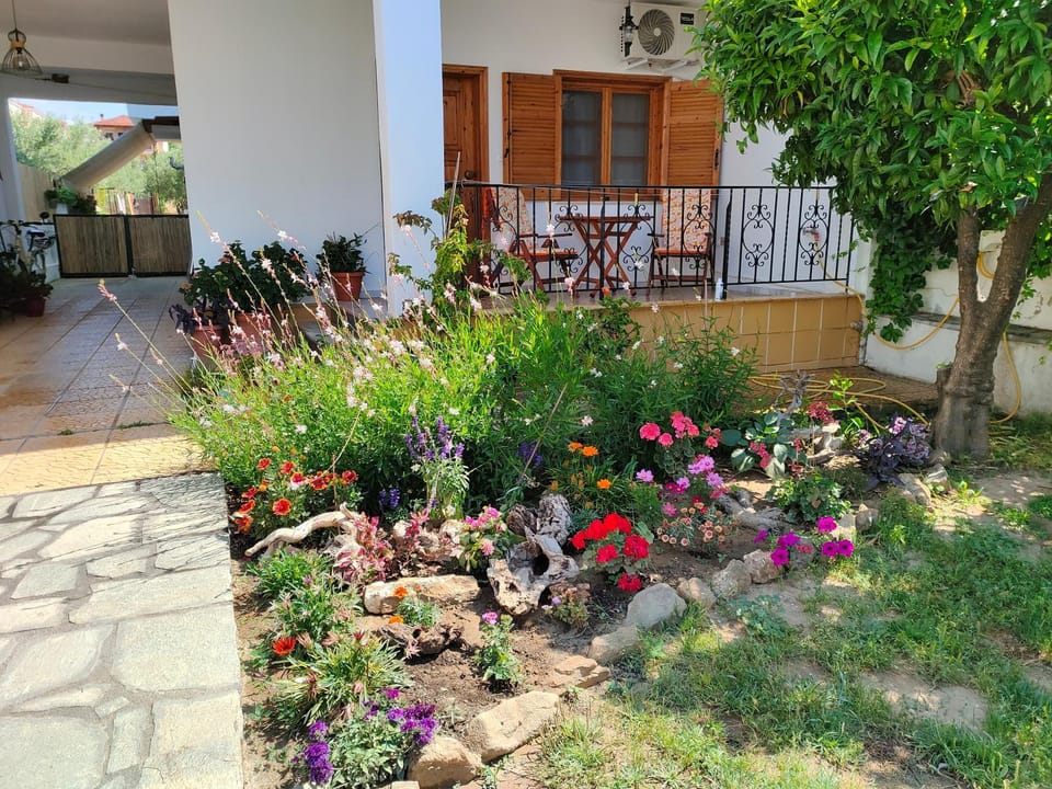 Anna's house 1 Apartment in Halkidiki