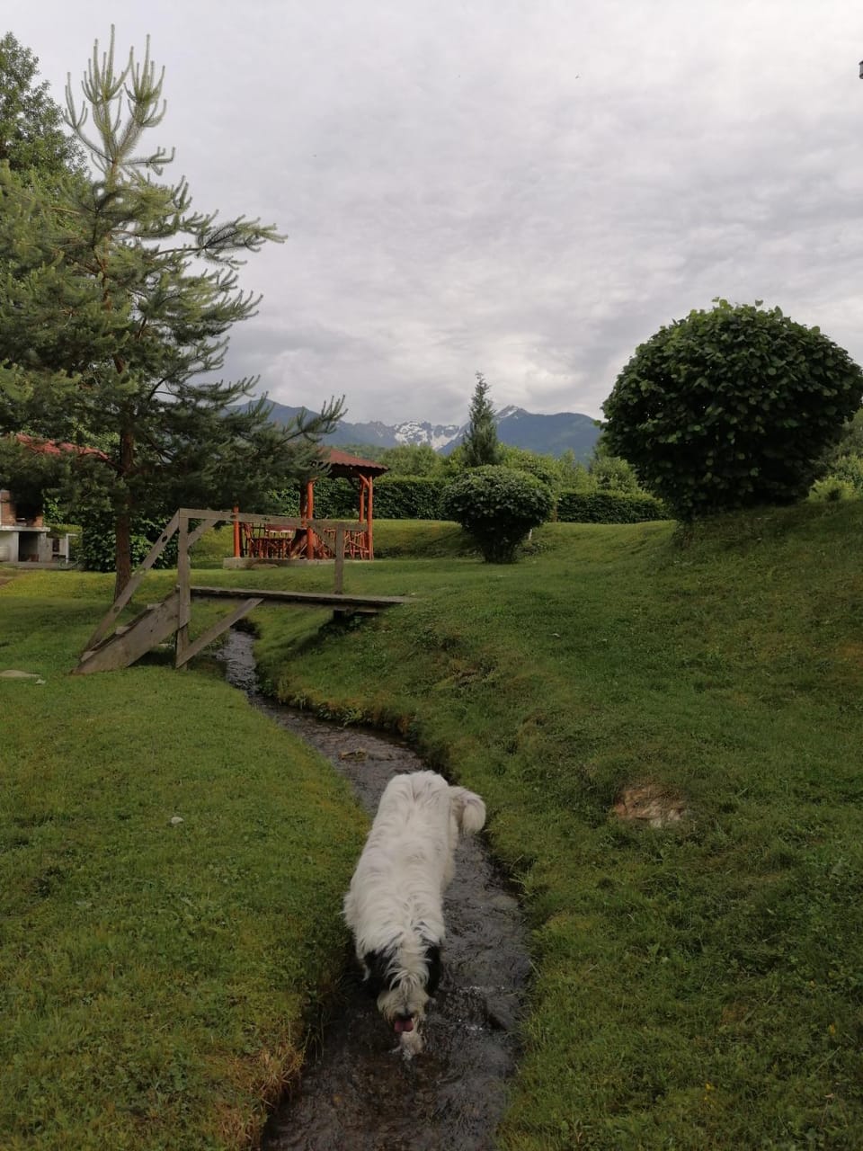 Garden view
