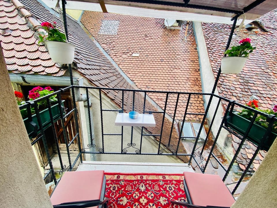 Central House Apartment in Romania