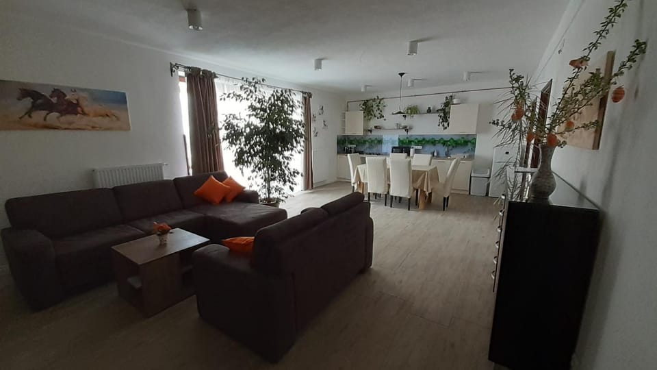 Living room, kitchen