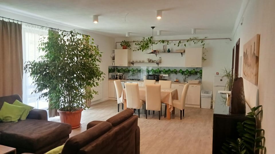 Living room, kitchen