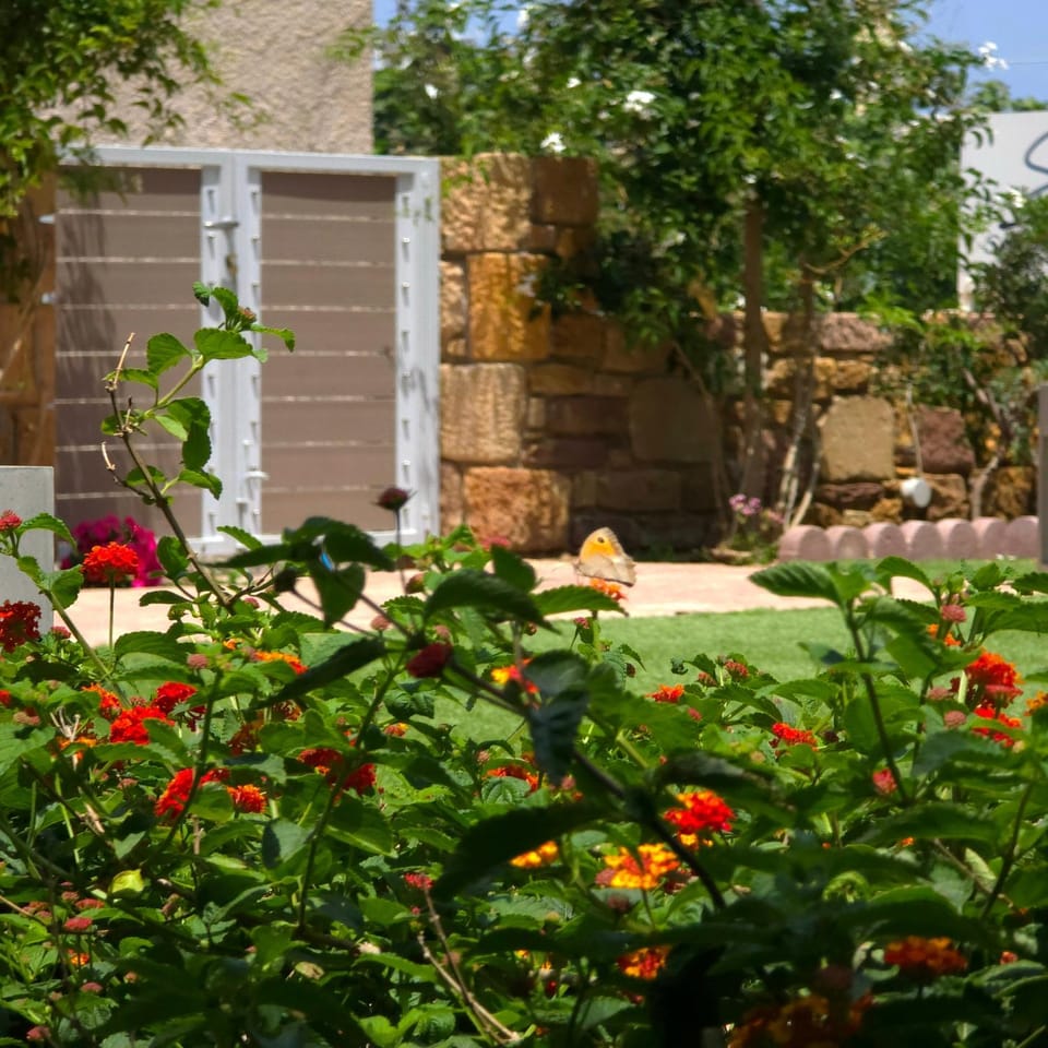 Facade/entrance, Spring, Day, Garden, Garden view