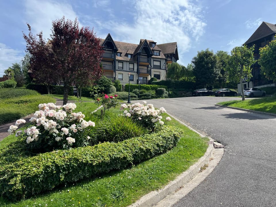 Property building, Garden, Garden view