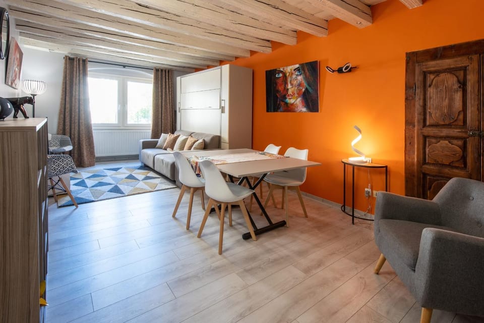 FITZ ROY Annecy Rent Lodge Apartment in Annecy