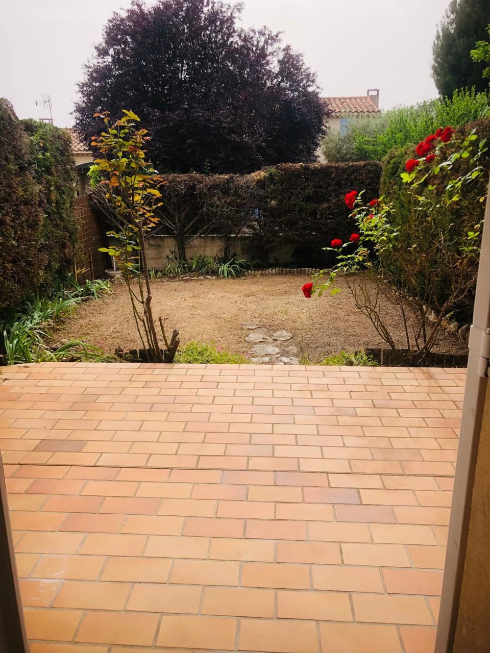 Garden view