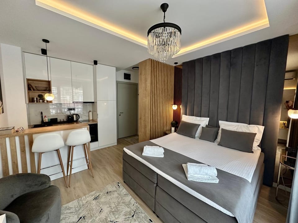 Bed, Kitchen or kitchenette, Living room, Photo of the whole room, Seating area