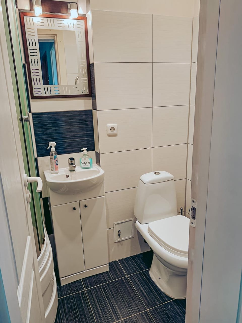Dzelmes Apartment in Estonia