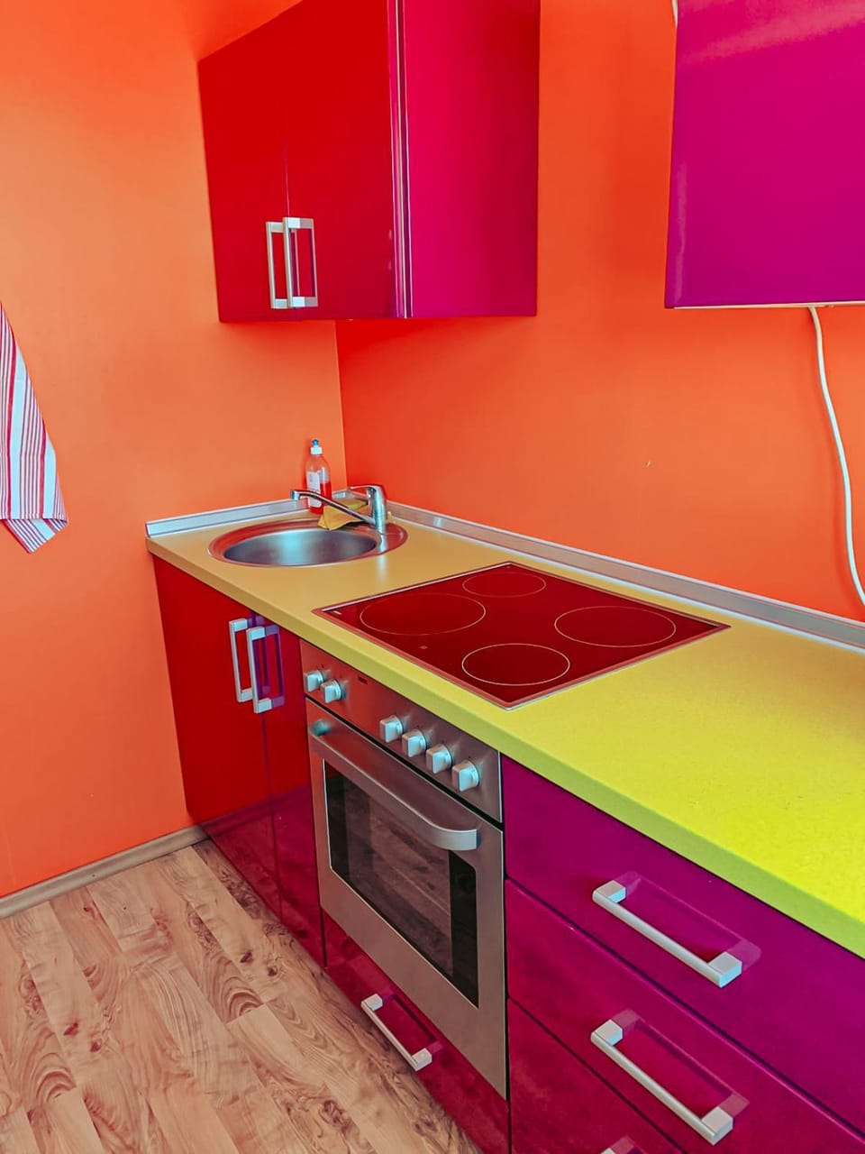 Dzelmes Apartment in Estonia